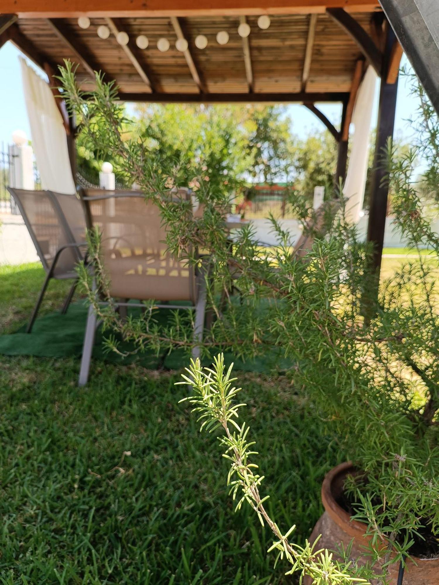 Evi'S Home Ormos Panagias Dış mekan fotoğraf